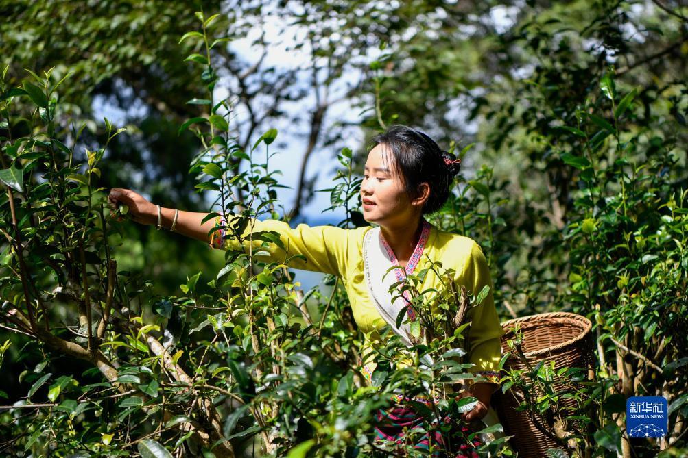 捕鱼达人游戏下载